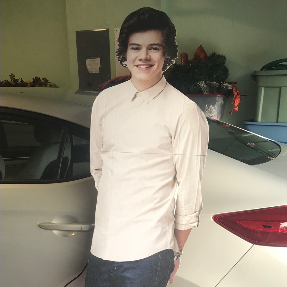 Harry Styles lifesize cutout